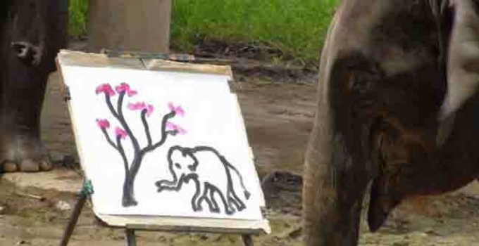 thai elephant painting nature