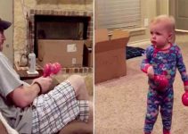 angry toddler scolds dad
