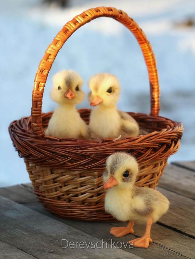 chicks crafted by russian artist