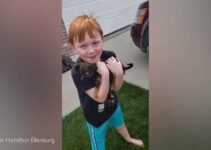 little boy saved up for a puppy